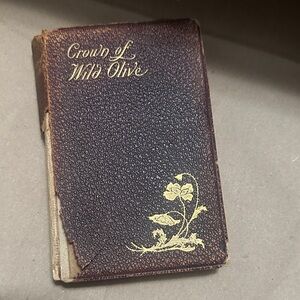 Vintage Brown Book with Gold Detailing- Crown of Wild Olive by John Ruskin
